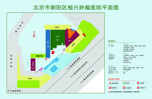 尻逼大全操逼大全操逼大全操逼大全操逼大全北京市朝阳区桓兴肿瘤医院平面图